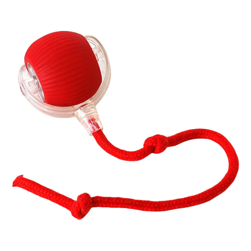 Pet Toy Ball – Bite-Resistant, Auto-Rolling for Dogs & Cats