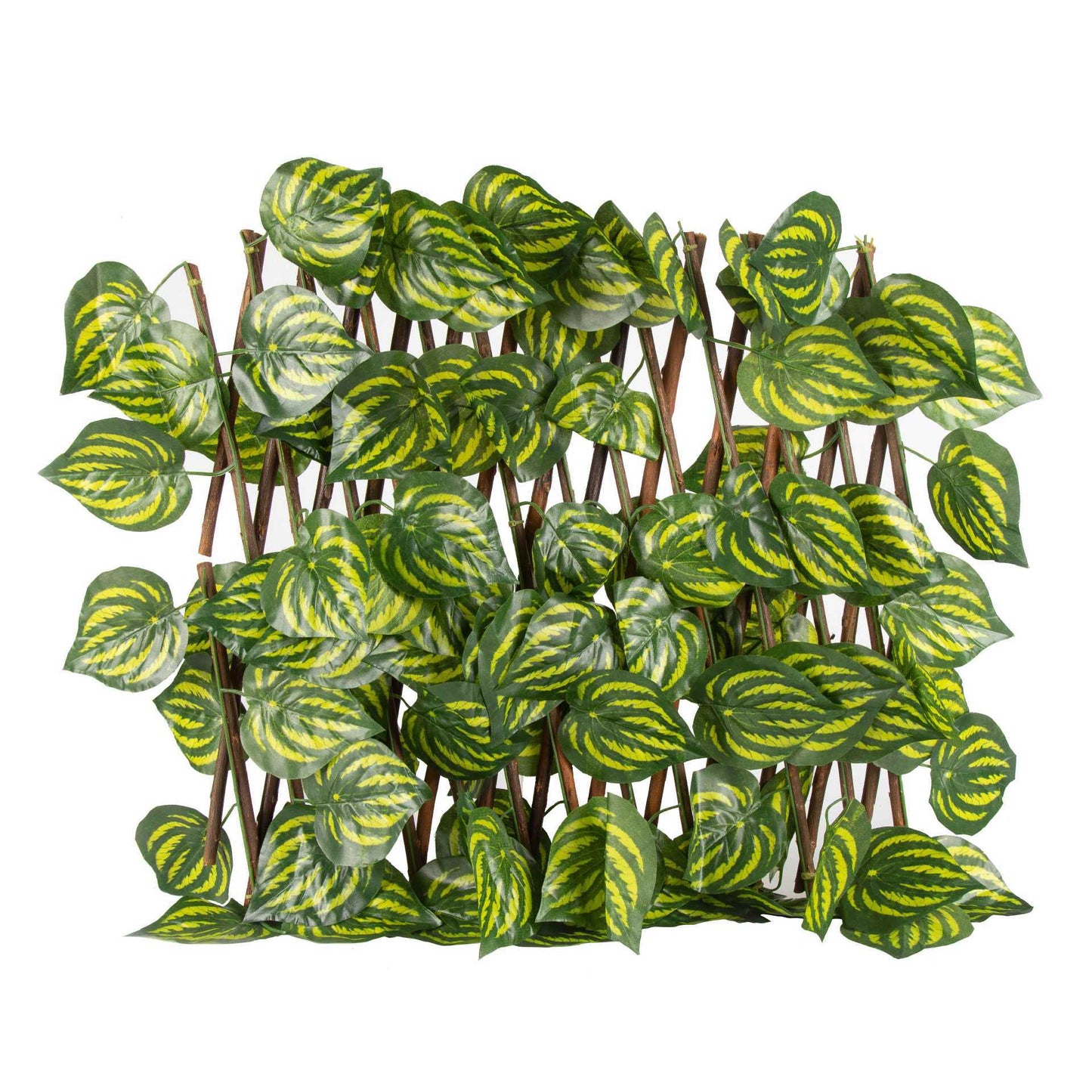 Expandable Decorative Trellis