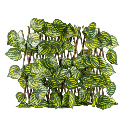 Expandable Decorative Trellis