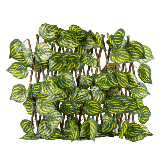 Expandable Decorative Trellis