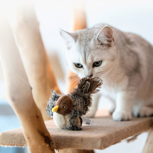 Interactive Bird Plush Cat Toy – Sound & Motion Simulation