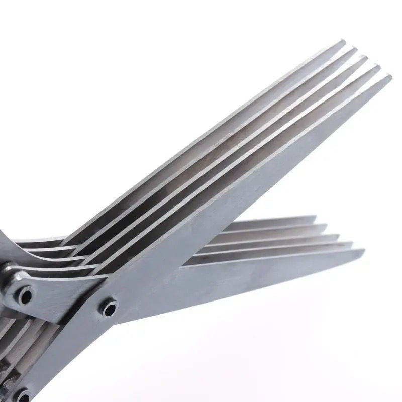 Salad Snip & Chop Scissors