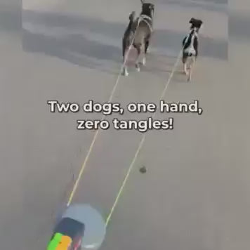 Dual Retractable Dog Leash