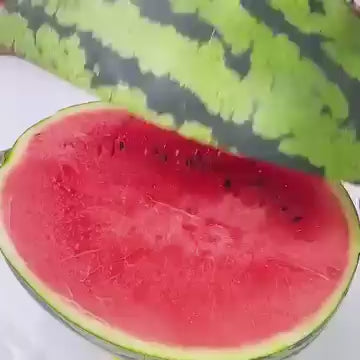 Stainless Watermelon Slicer
