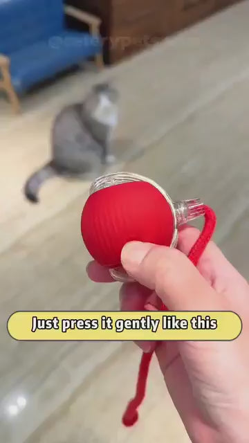 Pet Toy Ball – Bite-Resistant, Auto-Rolling for Dogs & Cats