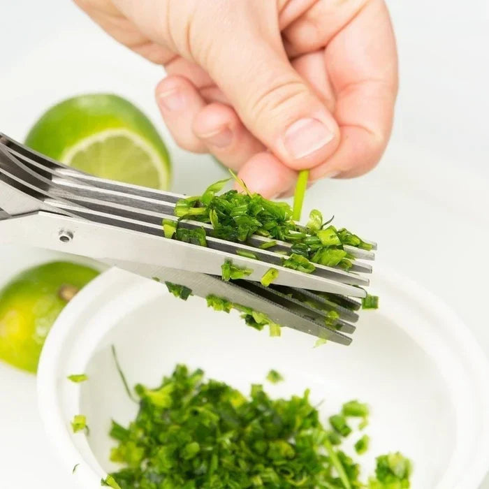 Salad Snip & Chop Scissors