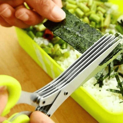 Salad Snip & Chop Scissors