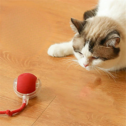 Pet Toy Ball – Bite-Resistant, Auto-Rolling for Dogs & Cats